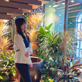 长春美食 | 好吃的泰国菜我只认素逸泰