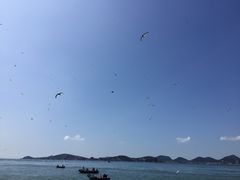 -海驴岛(荣成市)