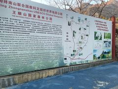 -王顺山国家森林公园