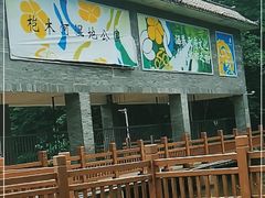 -桤木河湿地公园