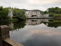 -大屏嶂森林公园