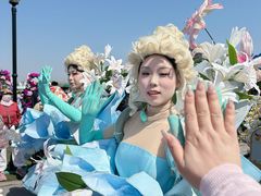 -荷兰花海