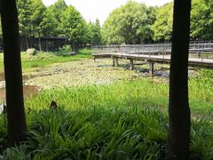 -尚贤河湿地