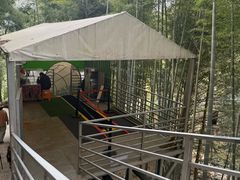 -藏龙百瀑风景区