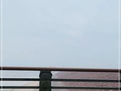 -黄河小浪底水利枢纽风景区