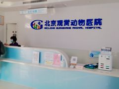 -北京观赏动物医院·24小时大型综合·猫专科·异宠专科