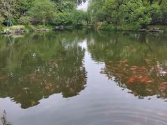 -西湖外事游船(花港观鱼码头)