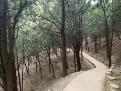 -鬼笑石后山停车场