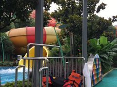 -苏州乐园森林水世界