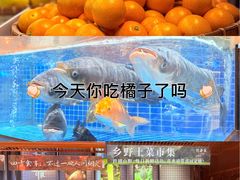 -许爷家·生态湖鲜(徐汇日月光店)