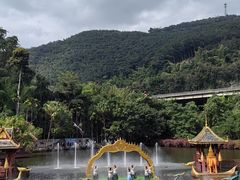 -西双版纳原始森林公园