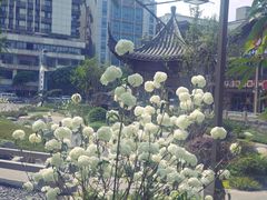 -中国宜宾·长江地标广场