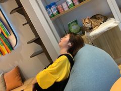 -啵啵喵·猫咖(攀华国际店)