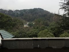 -杭州花家山庄