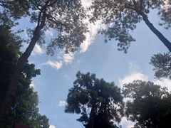 -烈士陵园(地铁站)