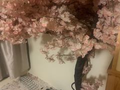 -鑫梦桌游谋杀之谜剧本杀俱乐部(联合商厦店)