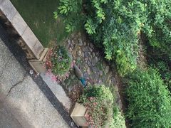 开元度假别墅-杭州千岛湖开元度假村