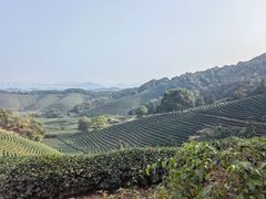 -午潮山国家森林公园