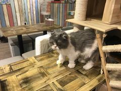 -小时光咖啡馆(开森度假森林店)