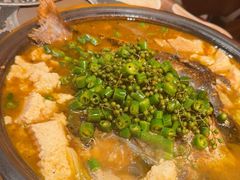 -探鱼·鲜青椒爽麻烤鱼(增城东汇城店)