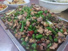 -铁山坪森林公园