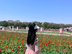 -北陵公园