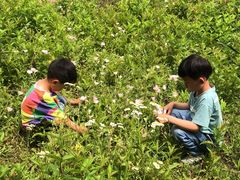 -昆山城市生态森林公园