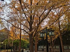 -北京稻香村(月坛店)