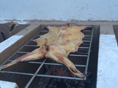 iphone_upload_pic-龙泉小镇(科圣路店)