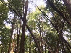 -同里国家湿地公园