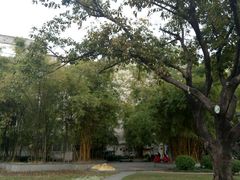 -垂虹公园