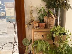 -AHAVA·Fang Baking Studio