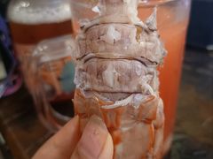 -吉布鲁牛排海鲜自助(339店)