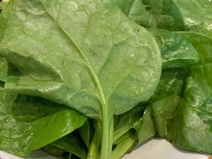 -禅蕴素食生活馆