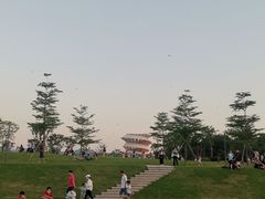 -光明小镇欢乐田园