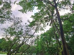 -人民公园(罗湖区)