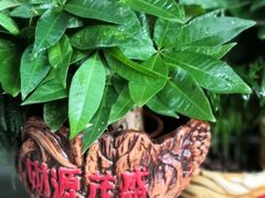 -桂林市花鸟市场