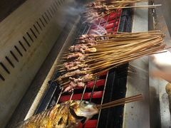 -晓靖轩烧烤(沙河风情店)