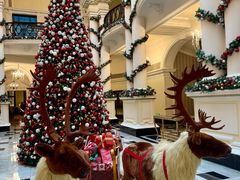 -Salon de Ville浦江汇(上海外滩华尔道夫酒店店)