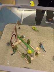 点击看大图 -meland亲子乐园•派对•研学(苏州悠方购物中心店)