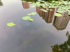 -青城公园