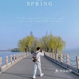 🌸无锡鼋头渚-樱花没开