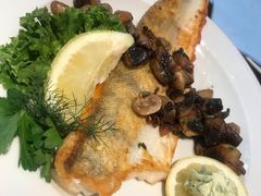 -NORDSEE Frankfurt Fisch Franke