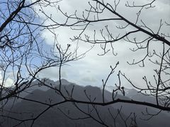 -陕西省红河谷森林公园