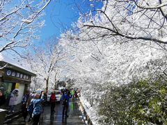 -紫金山索道-售票处