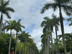 -厦门大学(思明校区)