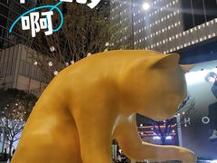 -深圳湾万象城(南山店)