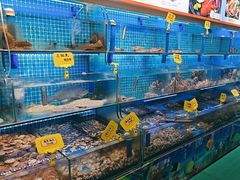 -前王院•巧克力海鲜市集餐厅(万平口店)