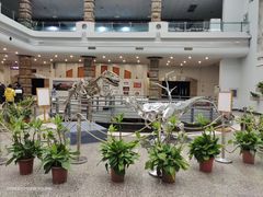 -自贡恐龙博物馆