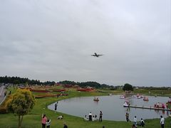 -空港花田景区